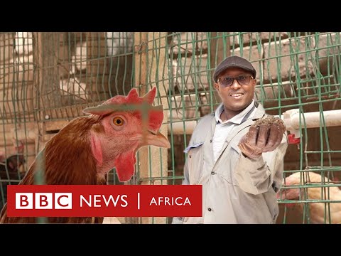 Anthony (Antony Muigai Njoroge), from the BBC News Africa video about his biogas plant